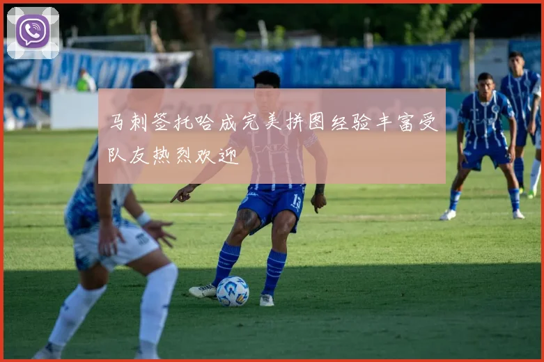 马刺签托哈成完美拼图经验丰富受队友热烈欢迎